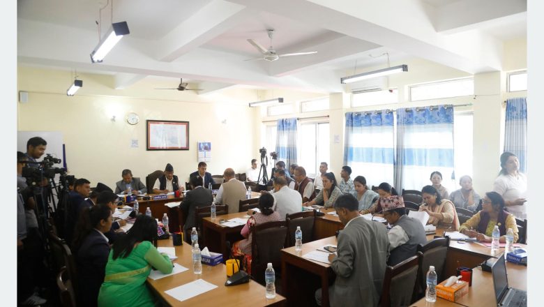 मिडिया काउन्सिलमा राजनीतिक हस्तक्षेप रोक्न सांसदको जोड