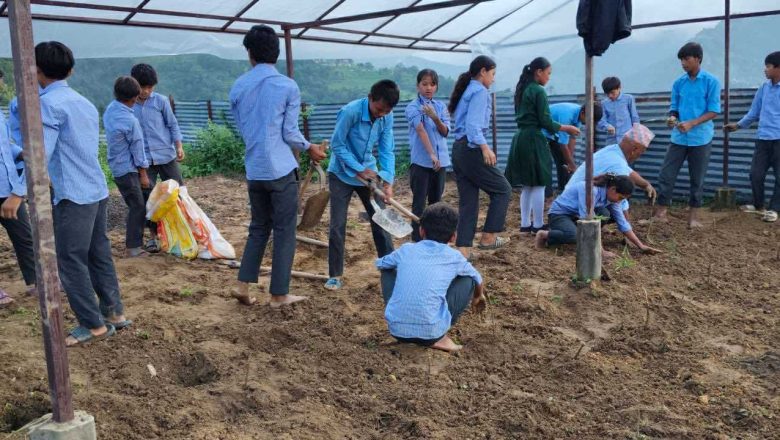 विद्यालयको अग्रसरतामा बन्यो विद्यालय भित्रै नमुना किचेन गार्डेन