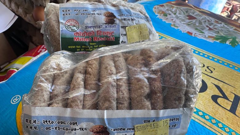 ‘कोदो गरिबको खाना’ भनेर हेप्ने दिन गए : बिष्कुटको माग उच्च, पाउरोटी बनाउने तयारी