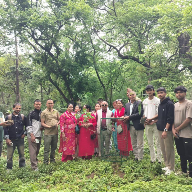 प्रधान सम्पादक श्रेष्ठको जन्म दिनमा पशपति भण्डारखालमा वृक्षारोपण