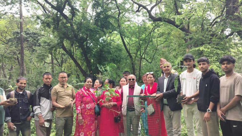 प्रधान सम्पादक श्रेष्ठको जन्म दिनमा पशपति भण्डारखालमा वृक्षारोपण