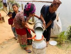 दूधमा अनुदानवापत २१ लाख ५५ हजार वितरण