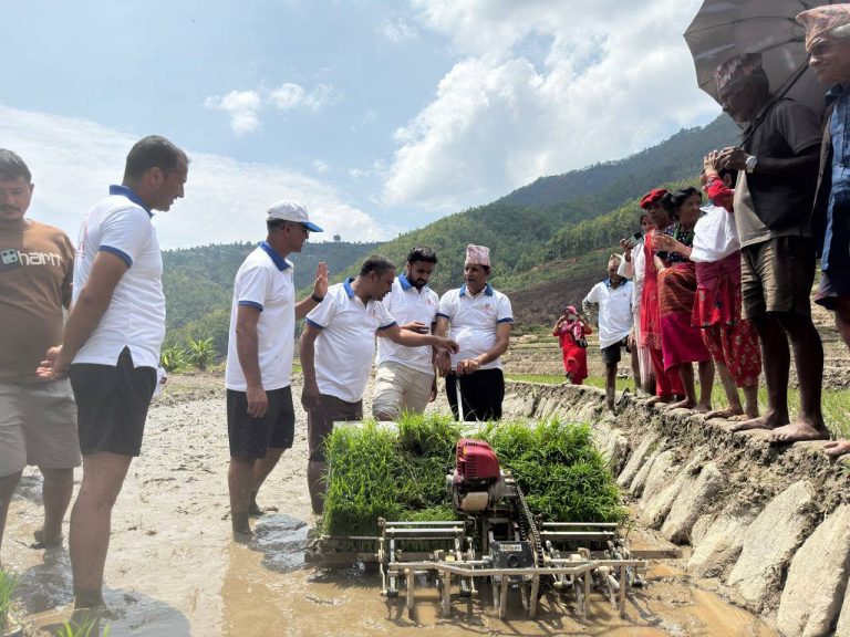 चौसागढी १३को मार्से खोला खेतमा नँया तरिकाबाट धान रोपाइ