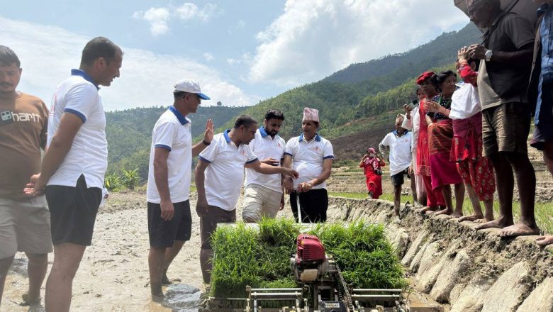 चौसागढी १३को मार्से खोला खेतमा नँया तरिकाबाट धान रोपाइ