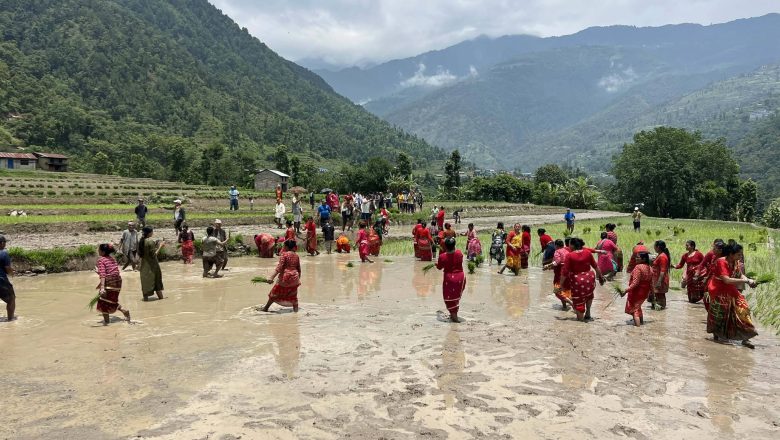 जलवायुमैत्री प्रविधिमार्फत धानमा आत्मनिर्भरता अभियान, हेलम्बुमा २३औँ धान दिवस मनाइयो