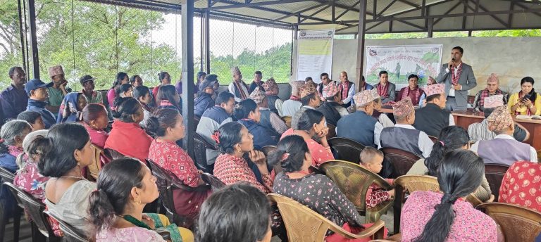 १४ नं वडामा कपडाको झोला वितरण गर्दै प्लास्टिकमुक्त अभियान सञ्चालन