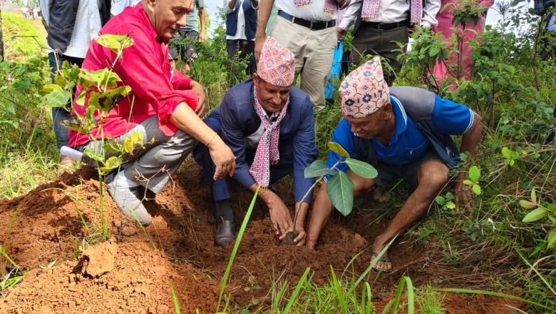 बर पिपल रोप्दै नेत्रज्योति कृषि सहकारी संस्थाको १४औँ स्थापना दिवस तथा साधारण सभा सम्पन्न