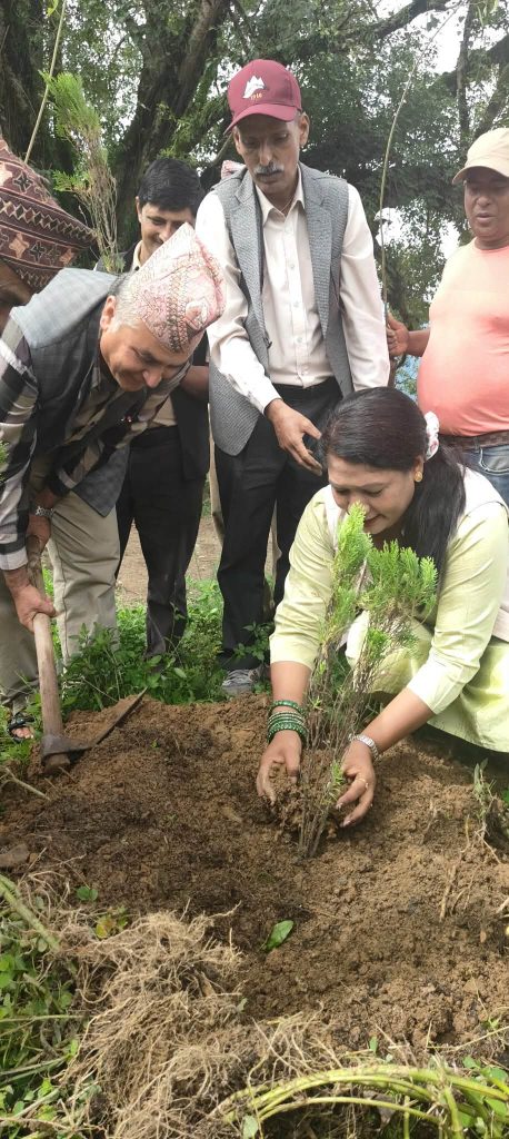 खिर दिवस का साथै सगरमाथा बृक्षरोपण महाअभियान चौसागढी १४मा