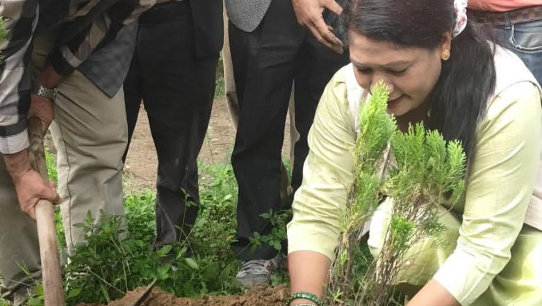 खिर दिवस का साथै सगरमाथा बृक्षरोपण महाअभियान चौसागढी १४मा