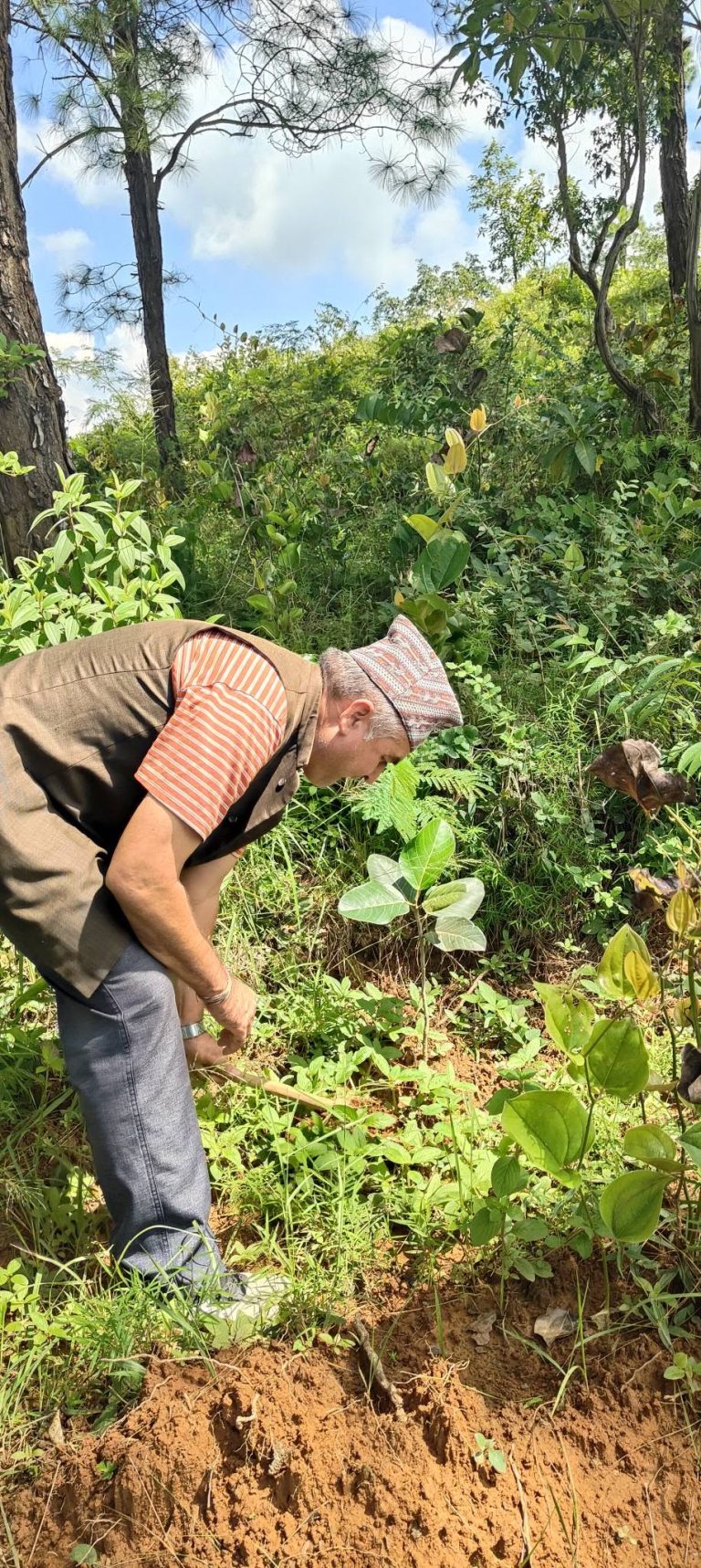 जन्मत्सोवपार्कमा बिरुवा गोड्दै बज्रयोगिनीको साधरण सभा सम्पन्न
