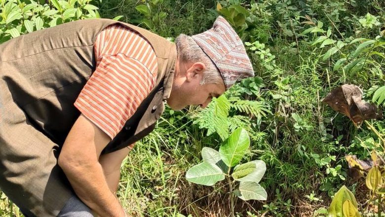 जन्मत्सोवपार्कमा बिरुवा गोड्दै बज्रयोगिनीको साधरण सभा सम्पन्न